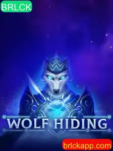 BRLCK Casino App